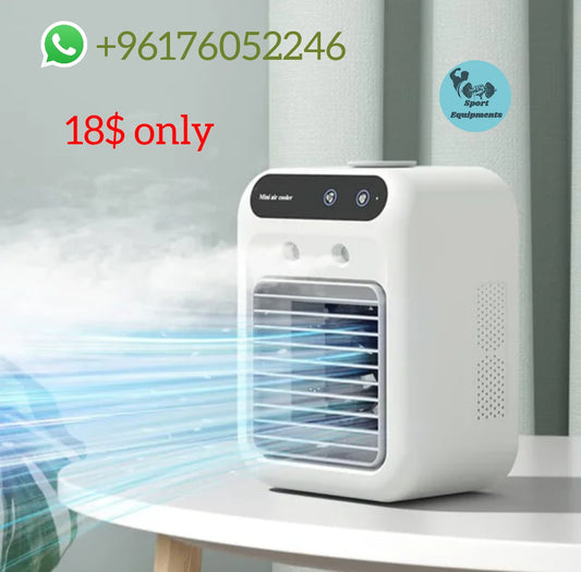 Mini air conditioner