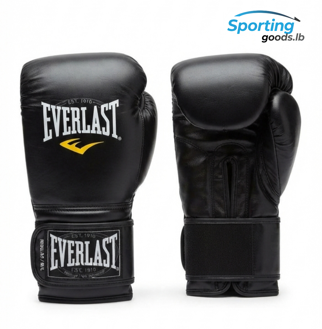 Everlast Boxing gloves